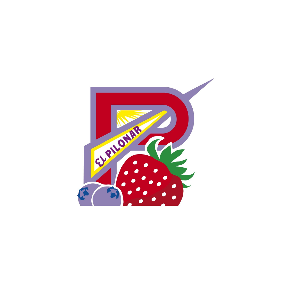 EL PILONAR