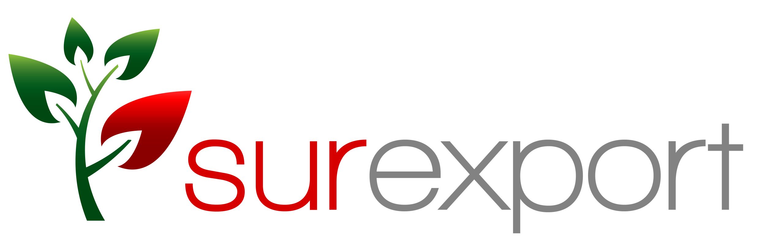 SUREXPORT